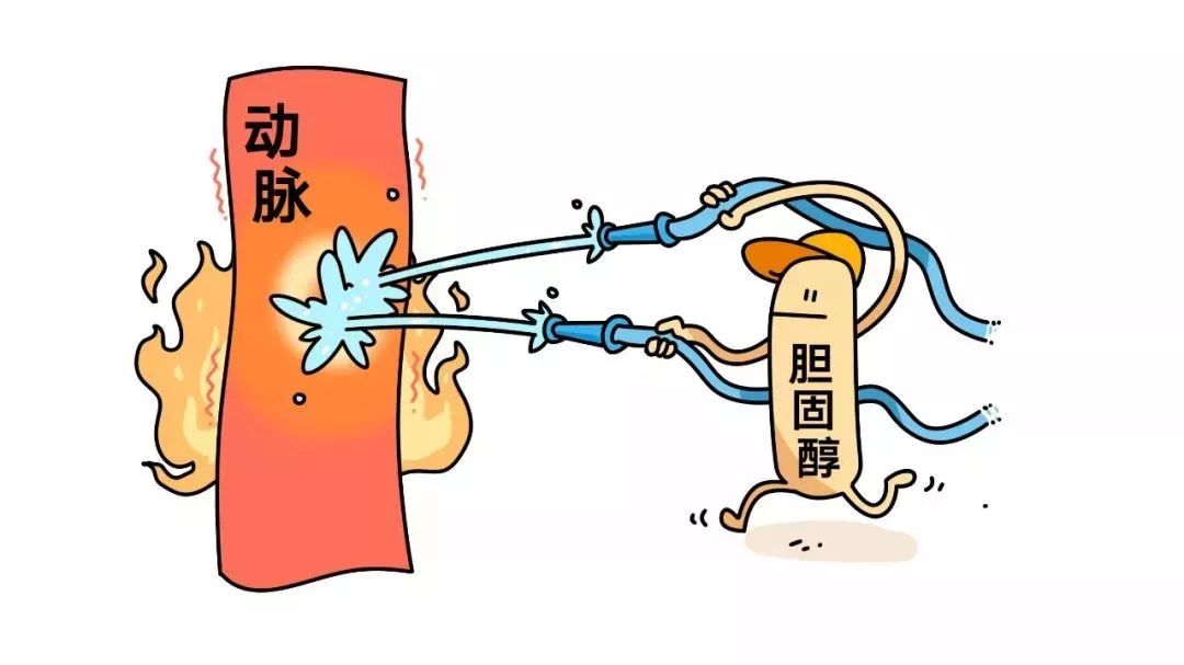 不要妖魔化胆固醇,胆固醇是本世纪最大谎言