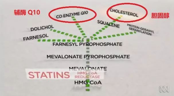 不要妖魔化胆固醇,胆固醇是本世纪最大谎言