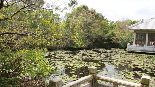 去日本从哪里出发便宜,去日本从哪里出发最便宜