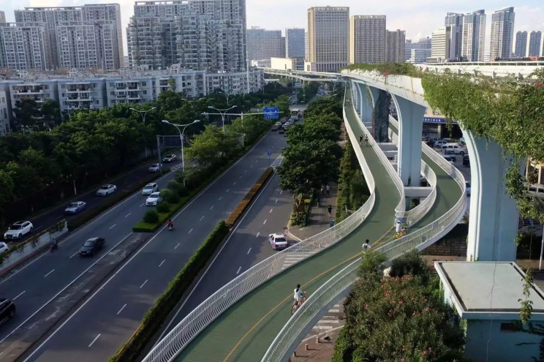 收藏下这篇，其他介绍厦门的稿子都可以删了丨人间指南