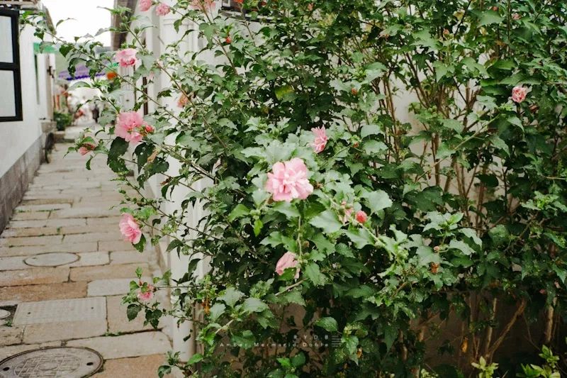 自己出门旅游，房子在家“上班”！杭州妹子全家出境旅游，空房一晚进账千元搞定旅费！