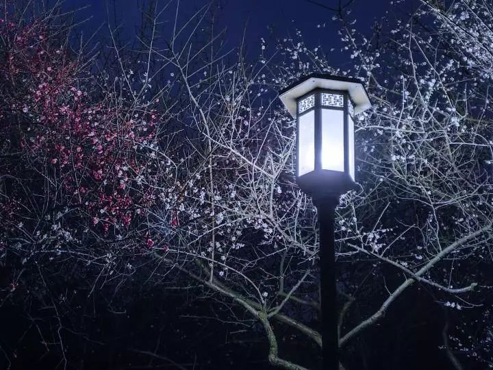 银湖吐光、群山凝素……带你去看不一样的萧山湘湖