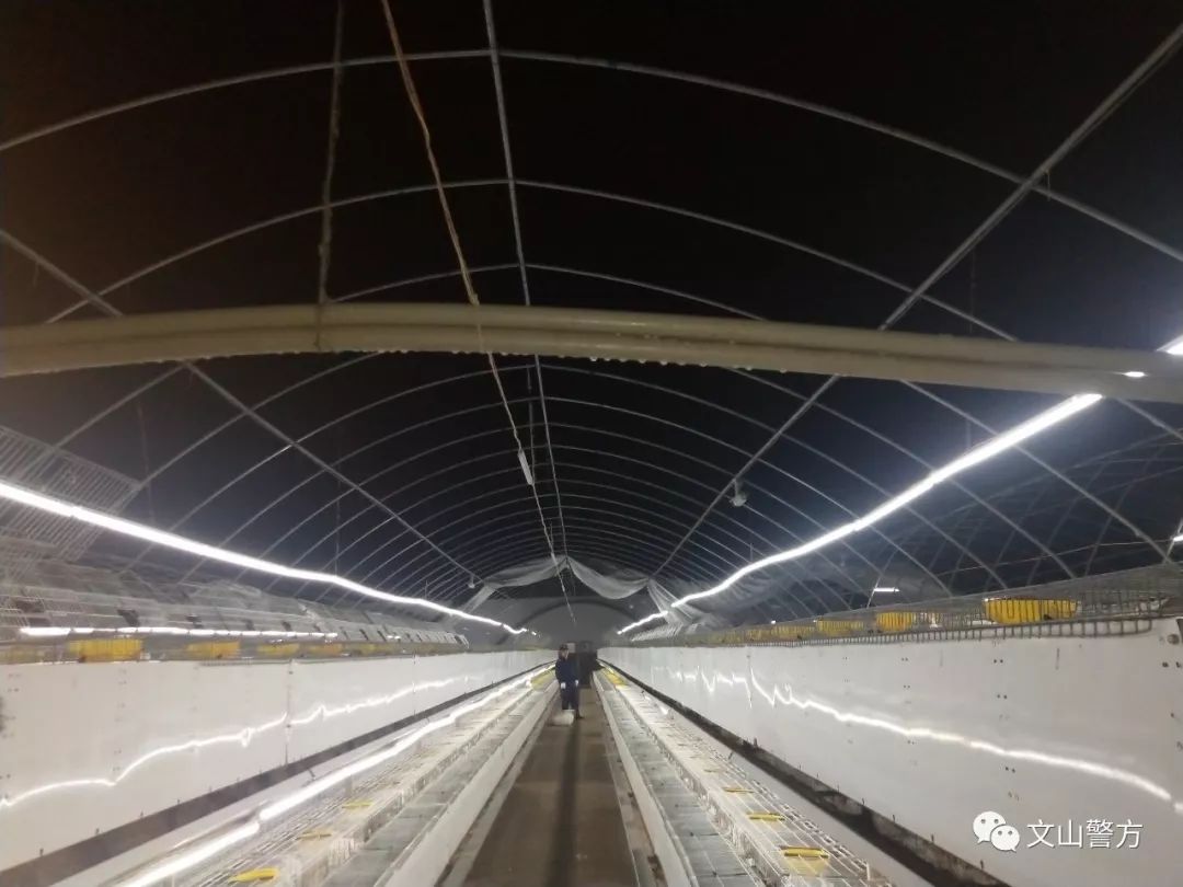 民警转移暴雨被困群众简报,暴雨险情民警为群众撑起平安伞