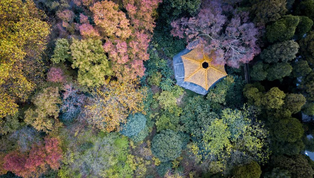 叶兆言南京传,叶兆言关于南京的书