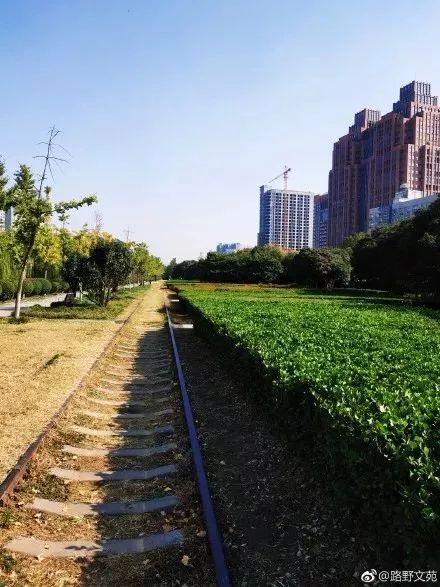 郑州适合骑车去玩的地方,郑州周边适合骑行的公园