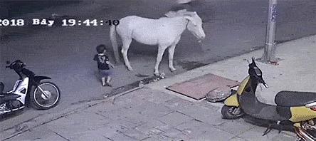 保时捷女司机的道歉到底证明什么,保时捷女司机最后怎么了