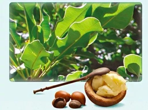 超强瘦腿袜压力袜春秋,打底瘦腿袜冬