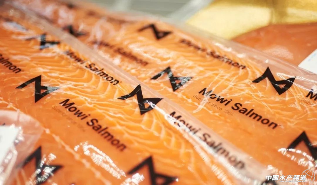 挪威三文鱼遭曝光经查,市场监管部门对进口三文鱼处罚