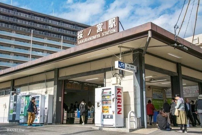 2019年日本樱花季日程表小众赏樱攻略！