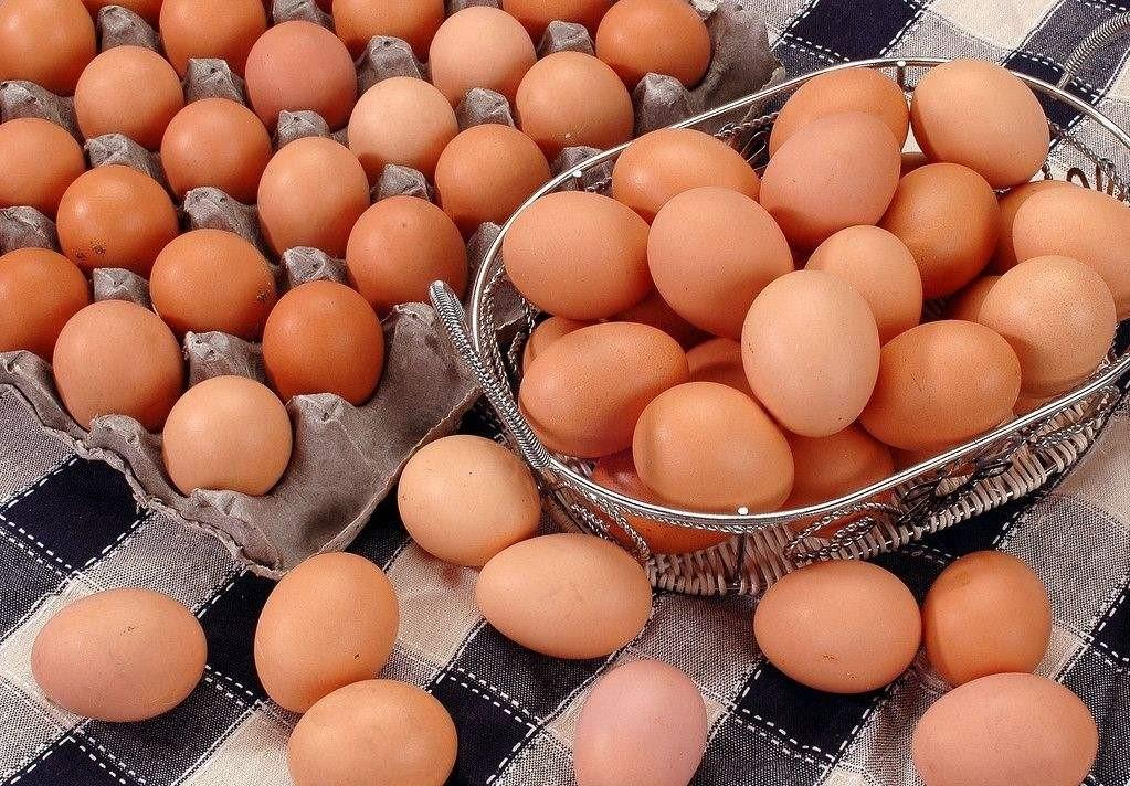 进口鸡蛋进入中国,中国进口鸡蛋市场