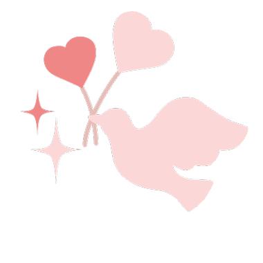 王珂和刘涛是夫妻关系吗,王珂自曝与刘涛真实关系