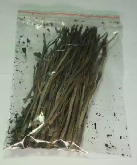 禁毒宣传关于禁毒知识你了解多少,禁毒政策和毒品预防知识