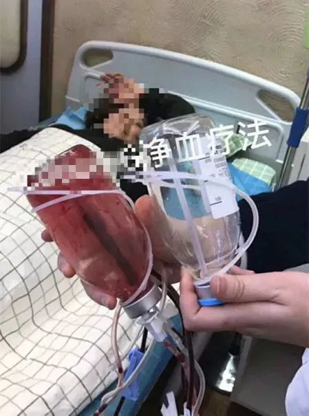 跟着女明星一起吃减脂餐,跟着女明星喝胶原蛋白