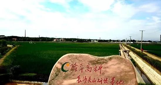 我眼中的中信泰富地产,中信泰富和中信集团有什么区别