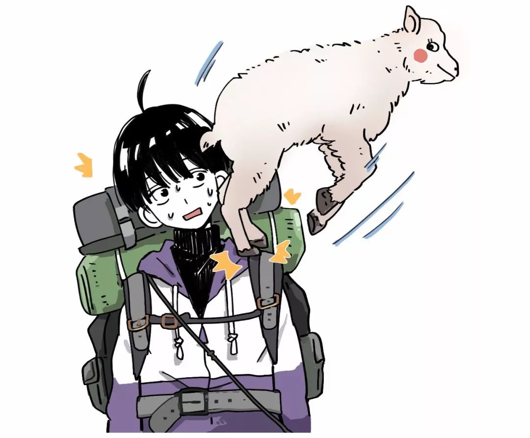 作为内蒙人，山羊这么牛的生物，竟然不了解？