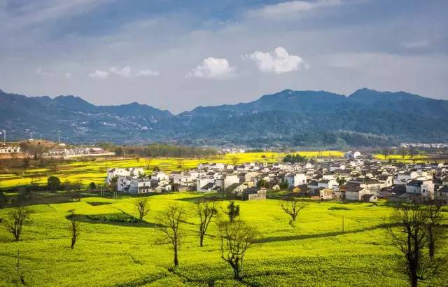 这家扎根在花海的悦榕庄即将迎来暖意春天！千元直降还含SPA,高铁1.5h!