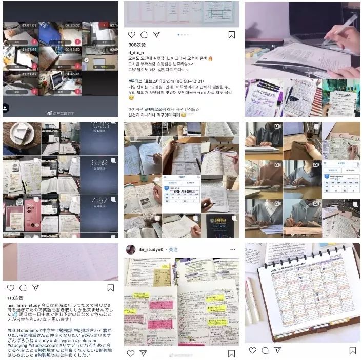 伪装MIT学霸，Ins盗图发博，求求这位戏精妹子别再给留学生招黑了