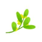 树洞画100幅欣赏,树洞松鼠儿童画