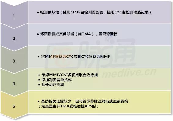 一张图看懂小儿红斑狼疮,狼疮肾炎示意图