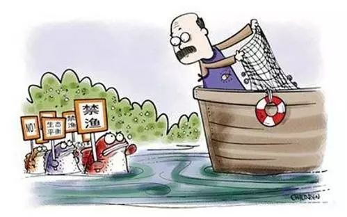 胆大包天禁渔期非法捕捞,禁渔期非法捕捞4人最终获刑