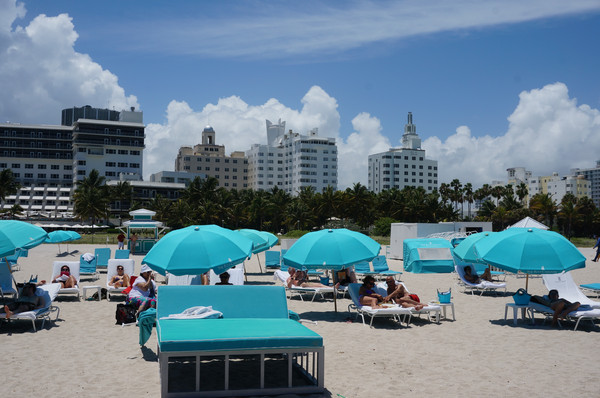 老人旅行欧洲,12位老人游上海