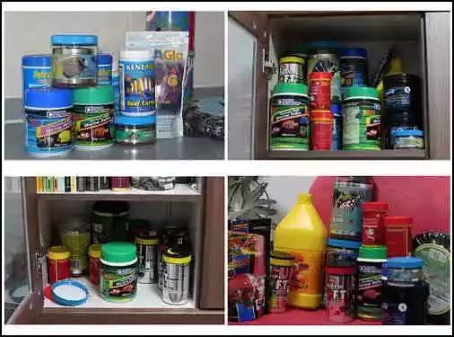 海缸珊瑚的饲养,海缸新手入门详细教程及注意事项