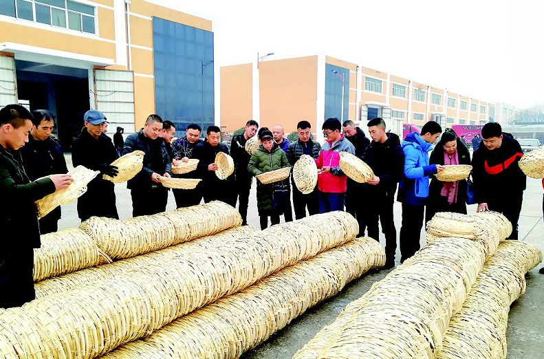「吉农采风」吉林青年农场主，走进临沂学本领