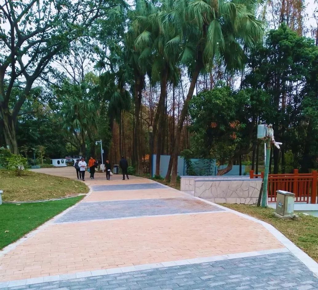 Oh~中山人熟悉的这个公园已经大变样，竟如此漂亮！（送20积分）