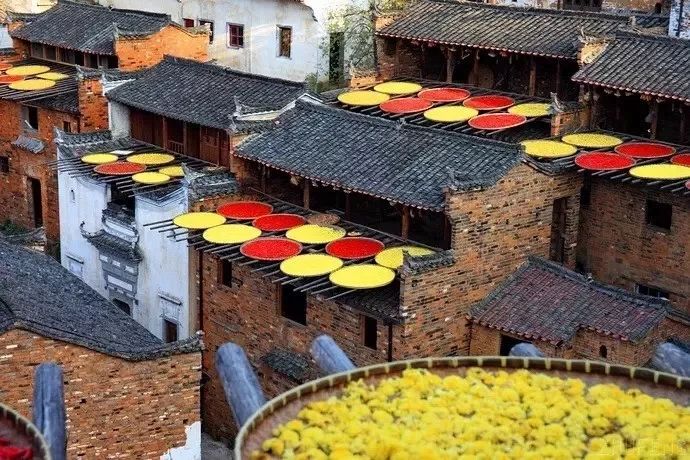 江西婺源写生基地一览花海酒店,来婺源住哪里好