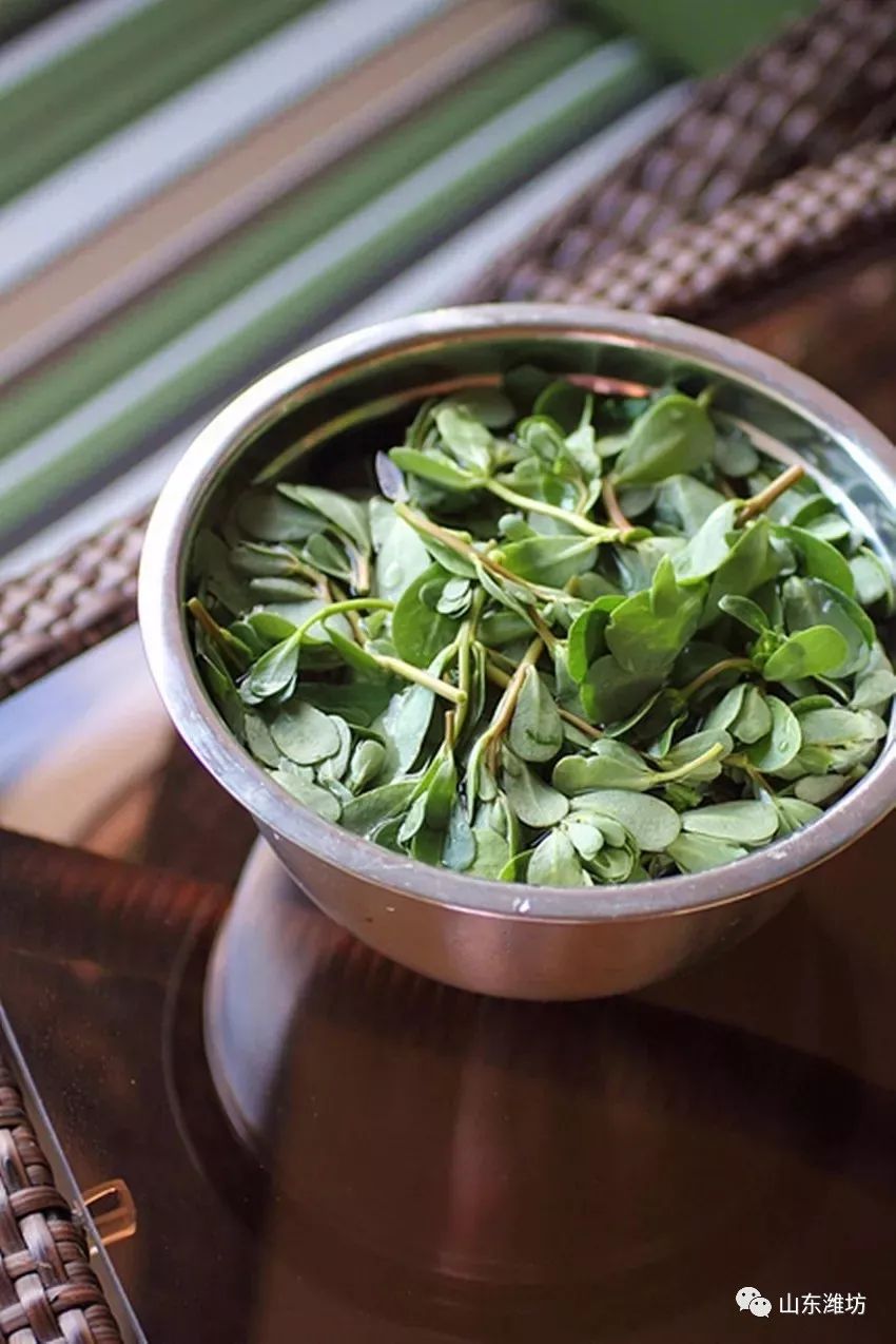 春天吃什么野菜补血最快,春天吃什么野菜下火最多