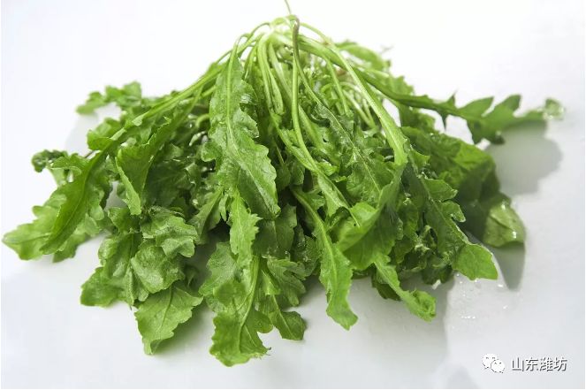 春天吃什么野菜补血最快,春天吃什么野菜下火最多