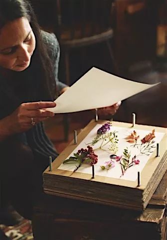 永生花diy手工,1700块的永生花