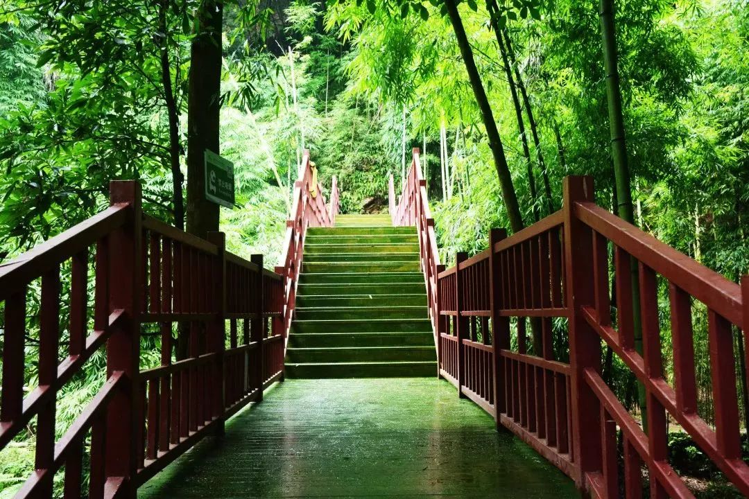 川西竹海玻璃栈道,川西竹海峡谷高空玻璃栈道