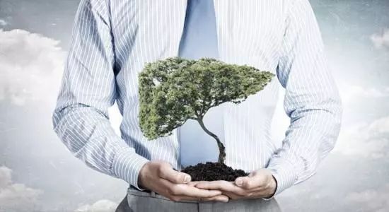 春季养肝食疗方法食谱大全,春季养肝护肝的方法和饮食