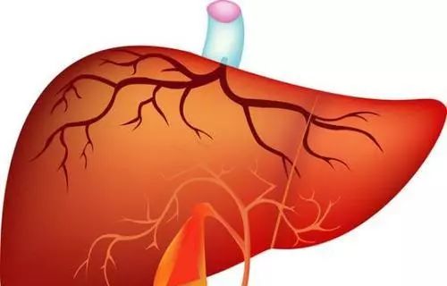 春季养肝食疗方法食谱大全,春季养肝护肝的方法和饮食