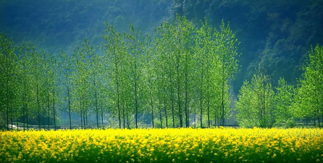 闃冲拰鍚洶鍝佺墿鐨嗘槬涓嬪彞,鎯婅洶杩庝徊鏄ヤ竾鐗╂惡绂忔潵