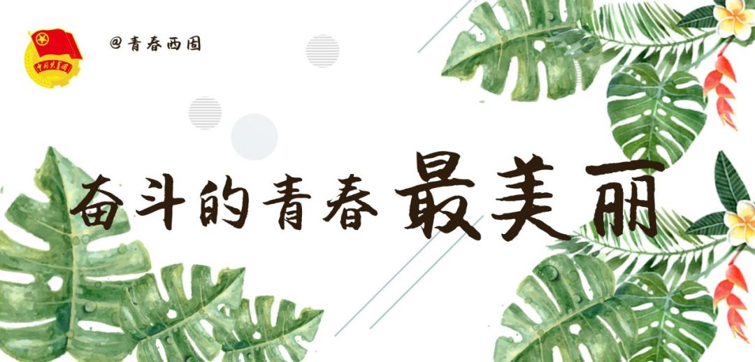 甘肃最新反腐通报公告,甘肃纪委反腐最新情况