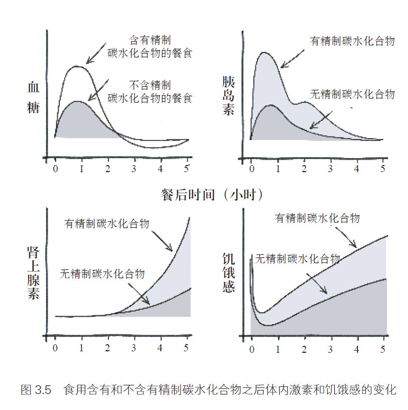 减肥一定要减得彻彻底底,当代人减肥的一天
