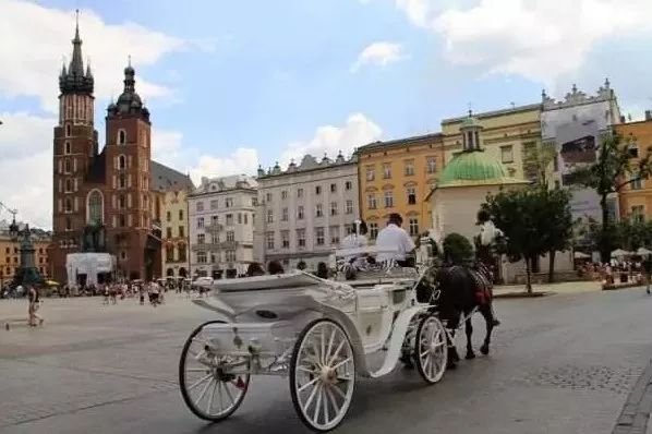 女神节花海一日游,女神节桃源一日游活动