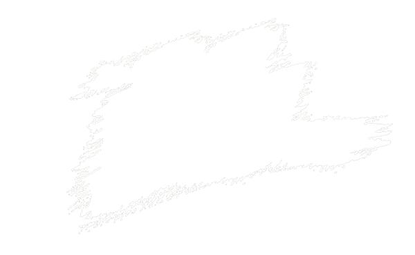 柳暗花明·第58期｜颅内动脉瘤栓塞时弹簧圈的选择（一）