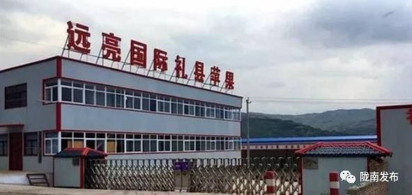 陇南人眼中的梁倩娟,梁倩娟陇南