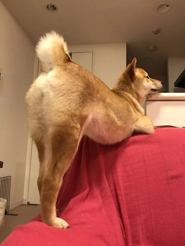 ▶昨天老妈教弟弟做作业,我弟不动脑筋思考,每道题都问...