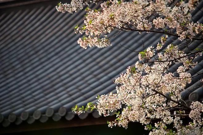 人民日报整理100个最常误用的成语,人民日报总结的常被误用的成语