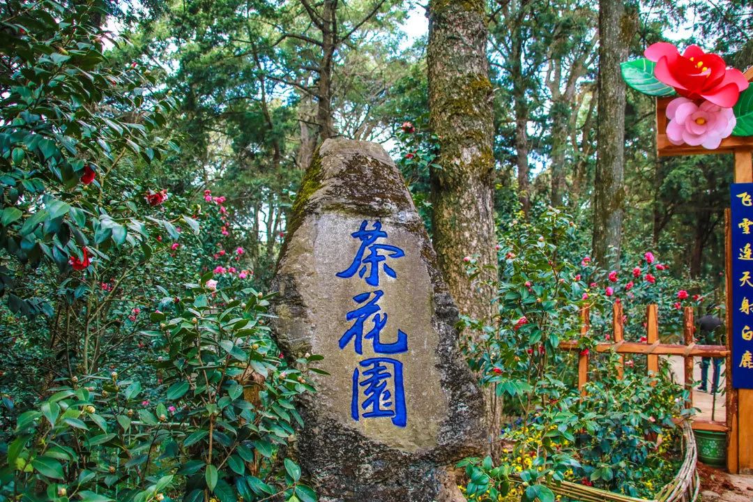 昆明金殿风景区古建筑之美,百年前昆明金殿照片