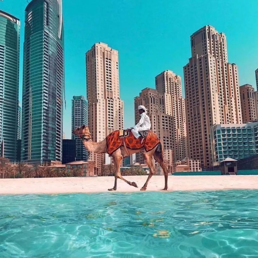 迪拜商务考察团,阿拉伯代表团