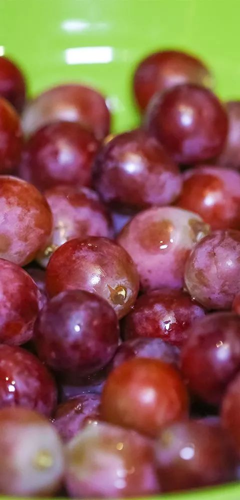 深圳龙岗美食券抢购,龙岗附近的海鲜自助餐59元一位