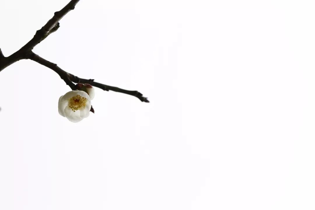 腾讯、联通、新东方都准备来华师“抢人”，本周就业讲座通知汇总，赶紧安排一下！