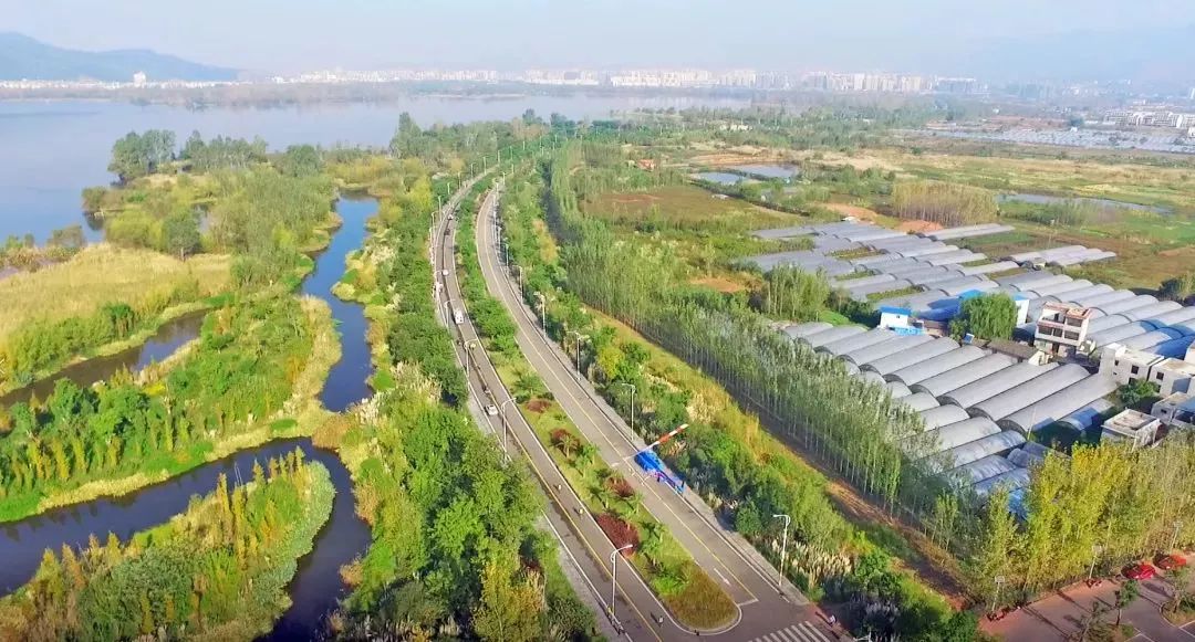 西马冠军2023成绩,西马冠军