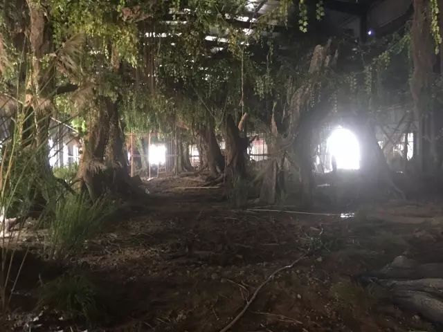 有没有最近很火的古装剧,那些让人惊艳的古装剧