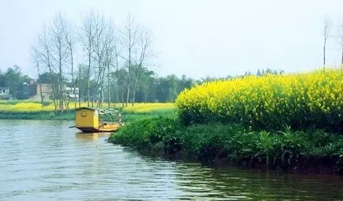 2019重庆优惠活动,重庆最新全图